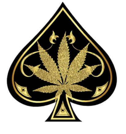 aceultrapremium.com.au